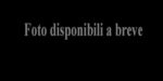 data – Copia