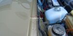 DSC00254_risultato